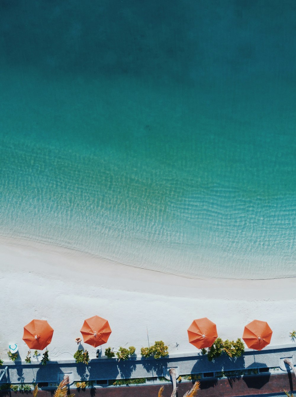 Photographie aérienne de quatre parasols orange au bord de la mer