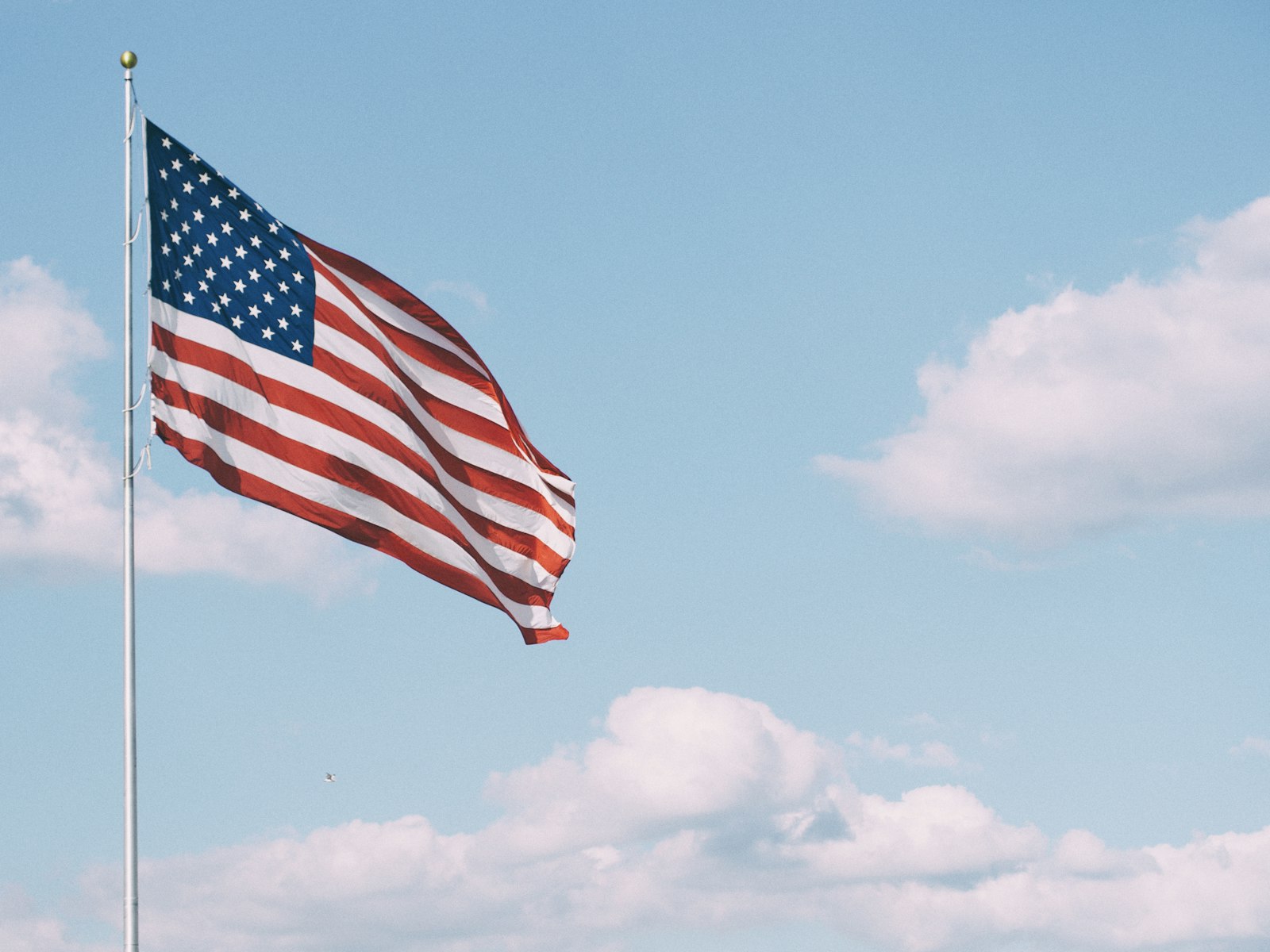 Olympus OM-D E-M10 II + Olympus M.Zuiko Digital ED 60mm F2.8 Macro sample photo. Flag of u.s.a. under photography