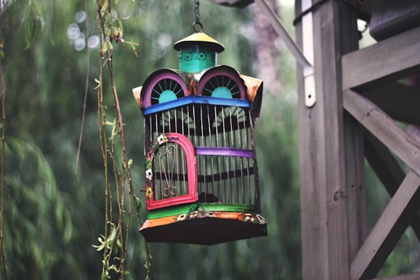 A colorful, decorative birdcage is hanging outdoors. The cage features a mix of vibrant colors including green, red, blue, and purple with ornate designs. It is surrounded by greenery with some blurred leaves in the foreground and appears to be attached to a wooden structure.