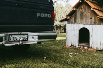 A close-up of the rear of a blue Ford vehicle parked on grass next to a rustic wooden dog house. The vehicle has a visible license plate from Brazil, indicating 'RS - Flores da Cunha'. The dog house features weathered wood and shingles, set against a backdrop of lush, green trees.