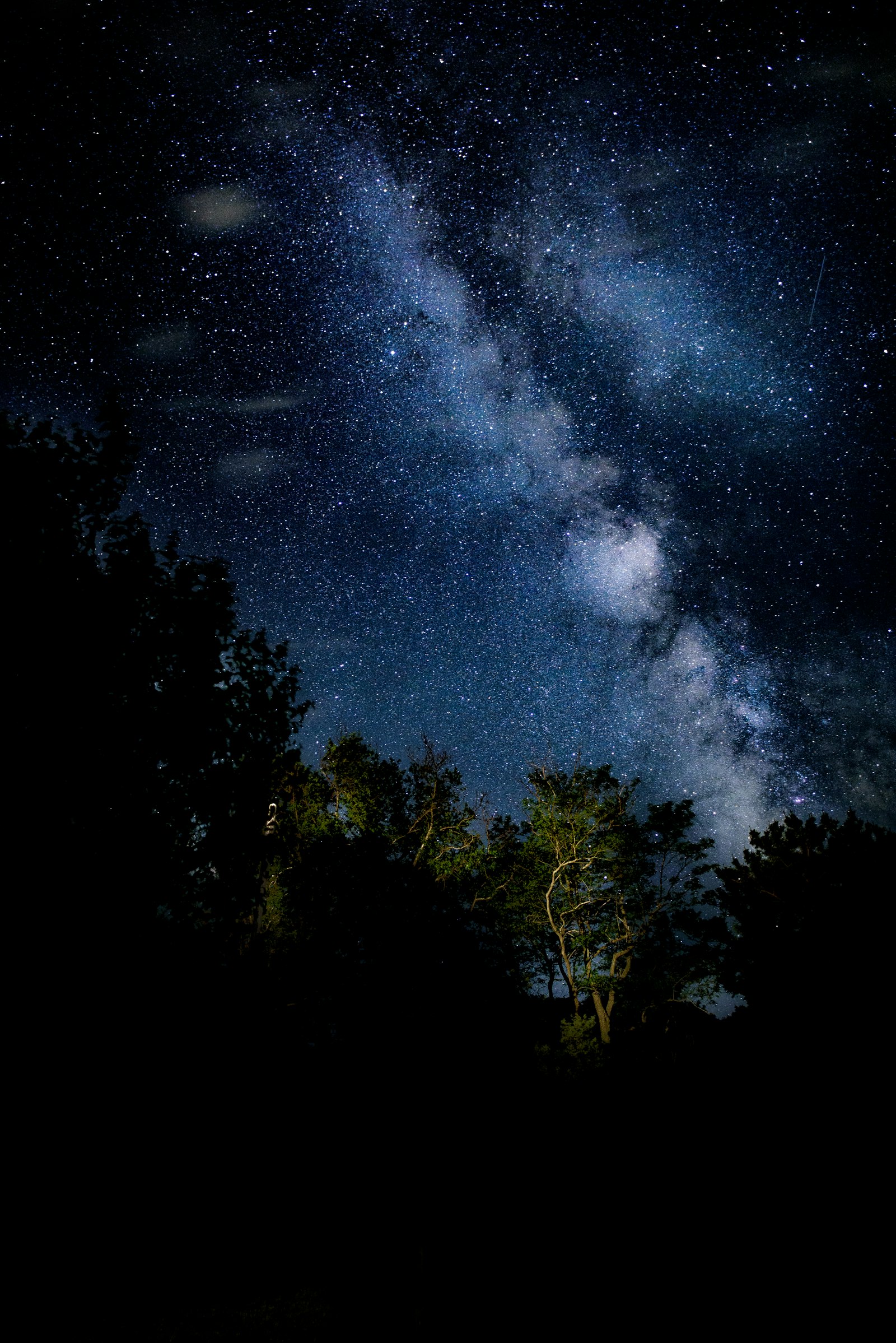 Nikon D750 + Nikon AF-S Nikkor 20mm F1.8G ED sample photo. Green trees under starry photography