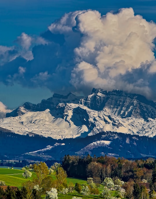 grey mountain during daytime in Horgen Switzerland