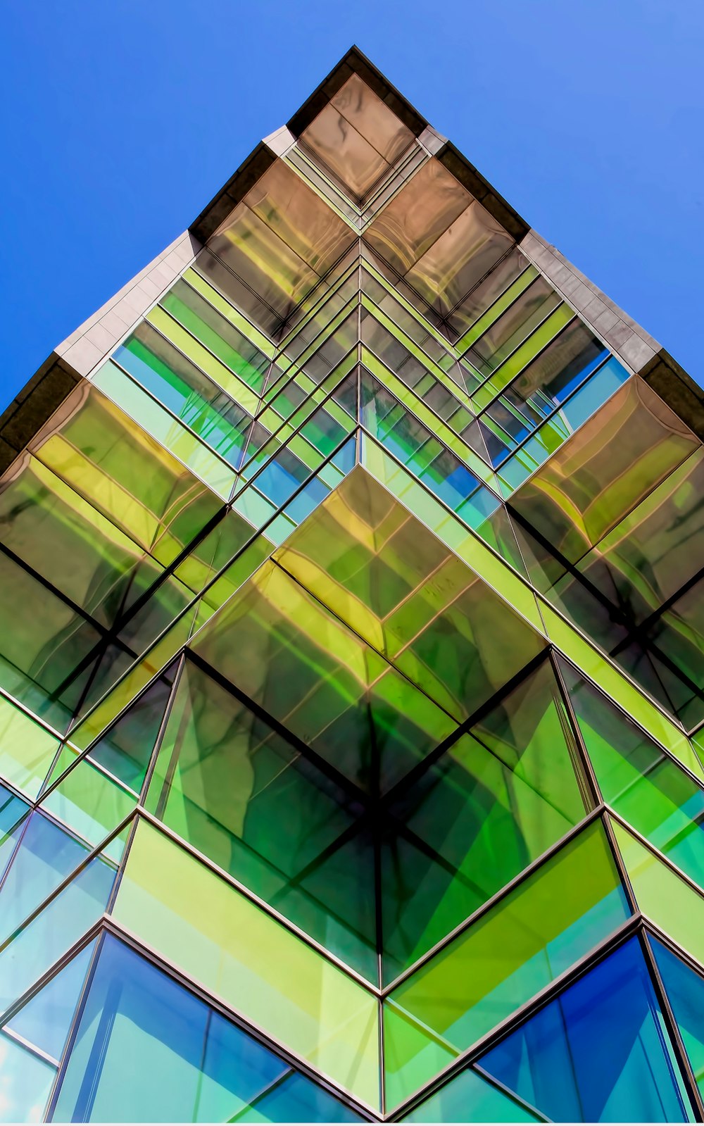 architectural photography of green and blue glass building