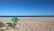 A bicycle loaded with camping gear rests on a sandy beach, facing the calm ocean under a clear blue sky. Several poles are visible in the distance, possibly marking boundaries or pathways.