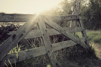 A rustic wooden gate with metal reinforcements on a sunny farm.