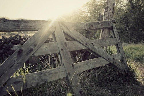 A rustic wooden gate with metal reinforcements on a sunny farm.