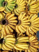 A large number of bunches of bananas are closely packed together, displaying varying shades of yellow and some green. The bananas have some brown specks and marks, indicating ripeness.