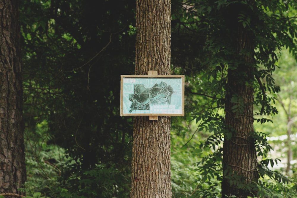 木の枝に貼られたポスター