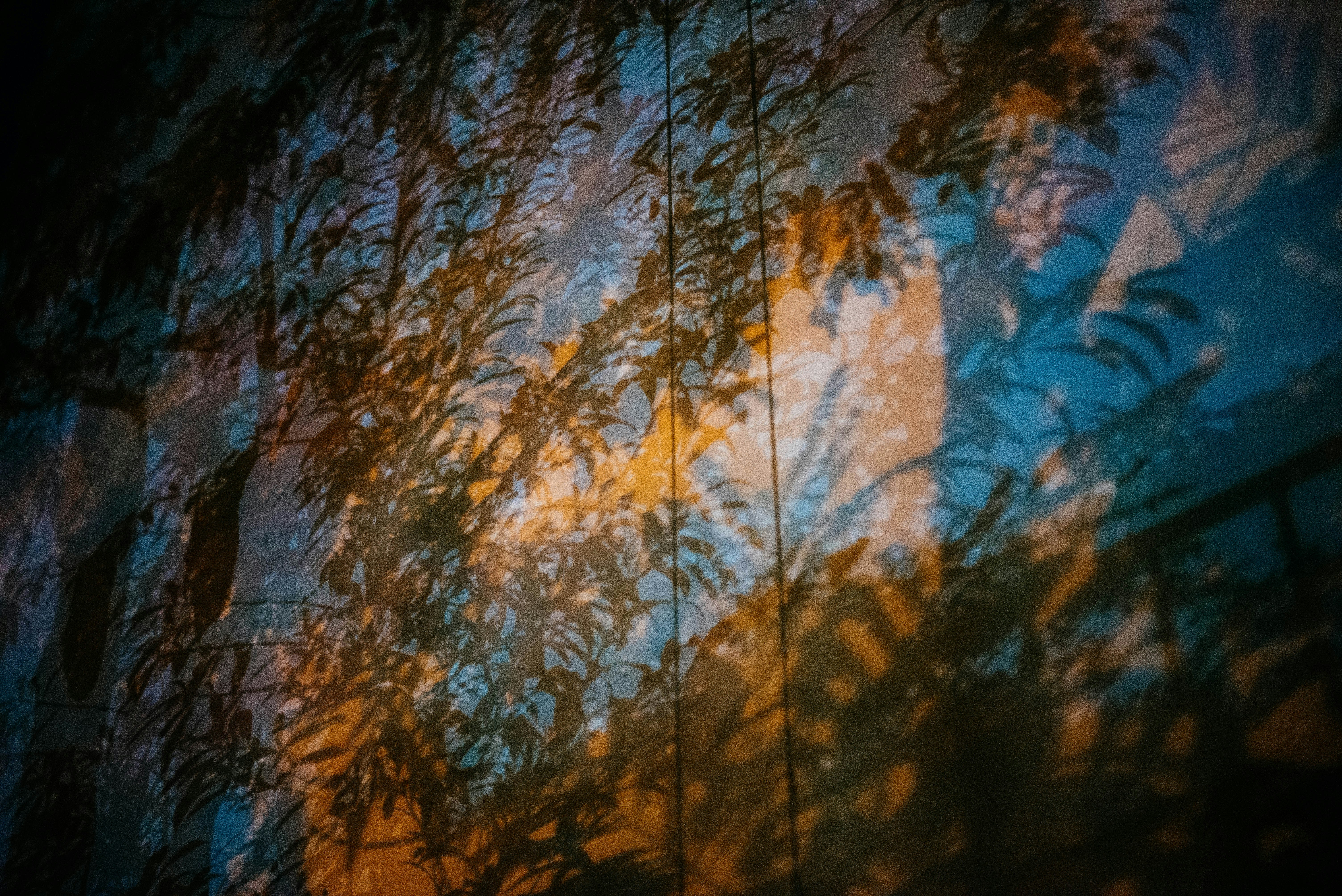 Photo by chuttersnap