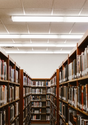 shallow focus photography of bookshelfs