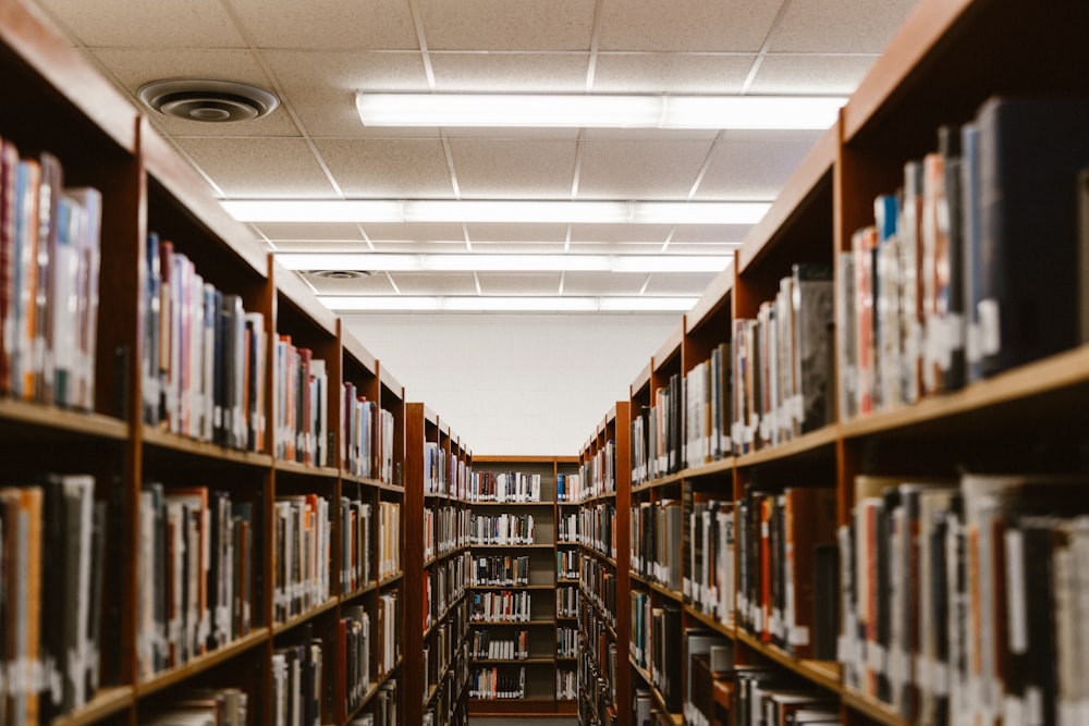 Long book-filled shelves in a library