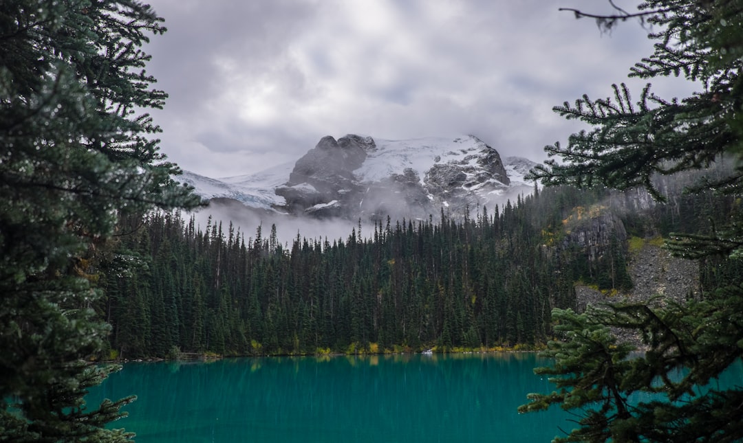 Nature reserve photo spot Joffre Lakes Provincial Park Joffre Lakes Trail