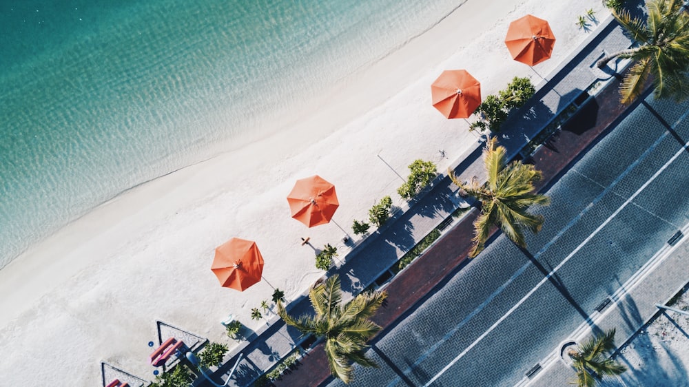 aerial shot of orange umbrellas near shore