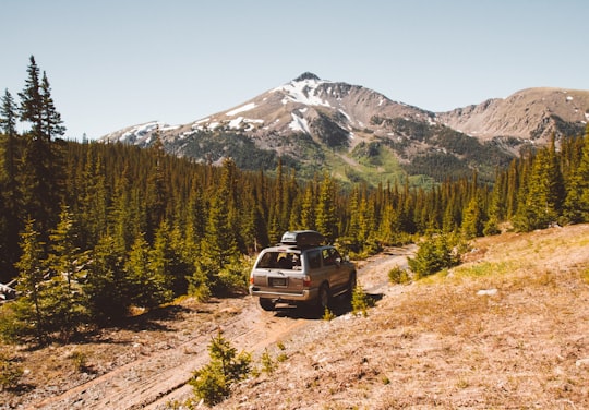 gray SUV running along brown sand path through forest in Buena Vista United States