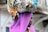 A person is wearing a vibrant headscarf with a colorful and intricate pattern, combined with a sheer, bright purple veil. The background is softly blurred, suggesting outdoor surroundings.