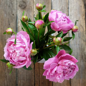 A close-up photo of a vibrant bouquet filled with roses, peonies, and greenery displayed on a rustic wooden table.