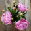 A vibrant bouquet of pink peonies arranged elegantly on a rustic wooden table.