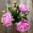 A vibrant bouquet of pink peonies arranged elegantly on a rustic wooden table.