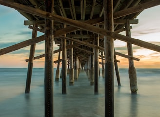 legs of pier in water