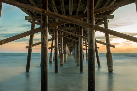 legs of pier in water in Newport Beach United States
