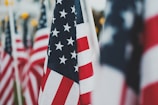 Multiple American flags are prominently displayed. The focus is on one flag in the foreground, showing vivid red and white stripes and white stars on a blue background, while more flags are blurred in the background, creating a sense of depth.