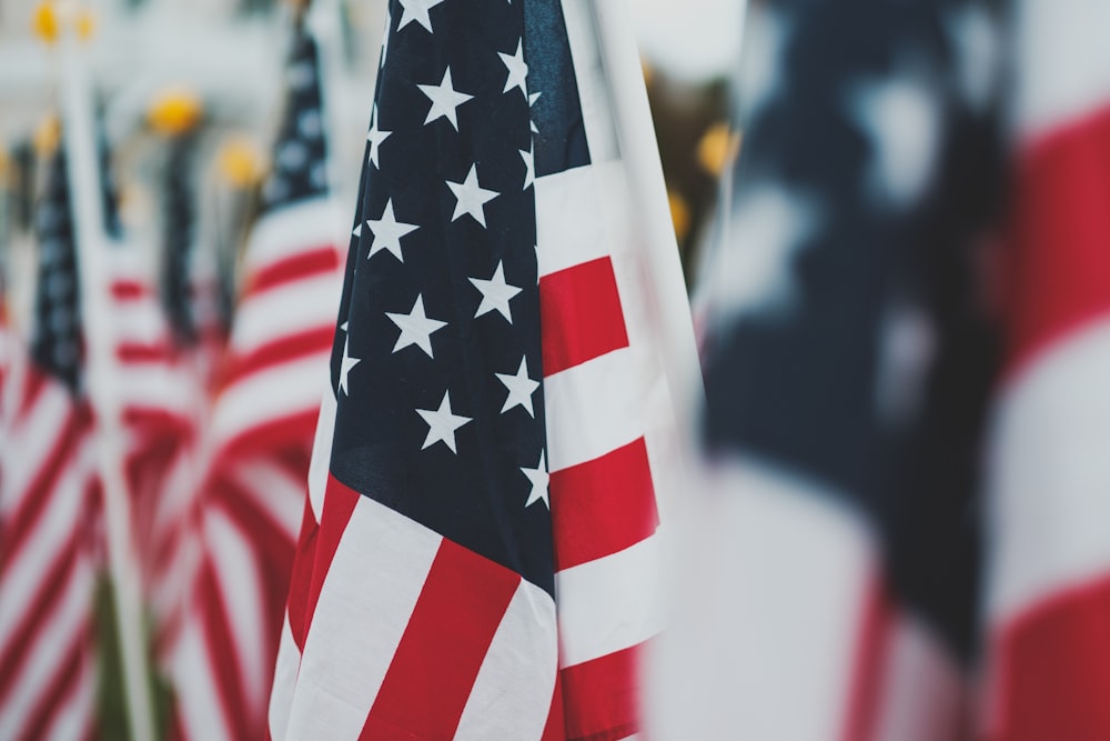 closeup photo of U.S.A. flag
