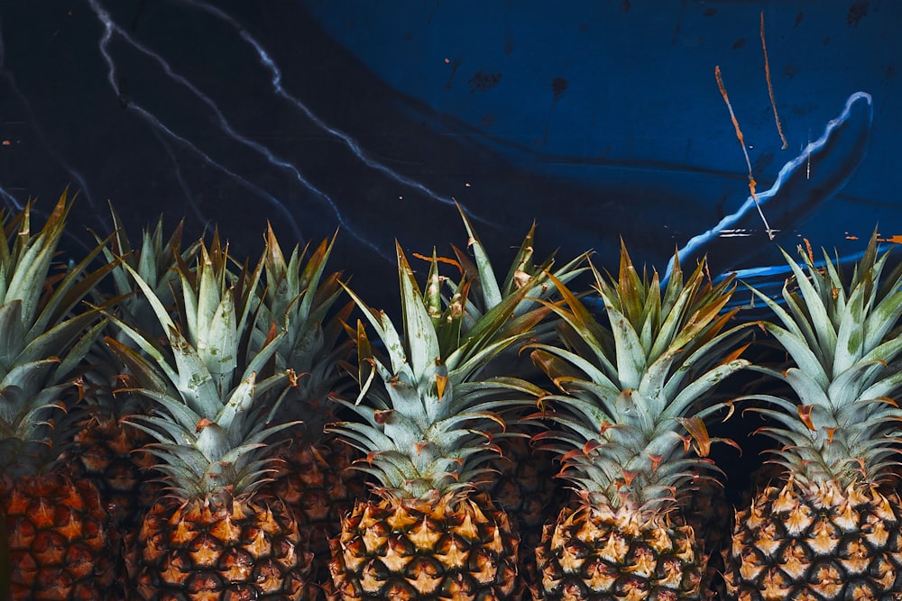 frutti dell'ananas