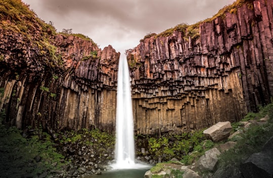 waterfalls surrounded with rocky mountains in Svartifoss Iceland