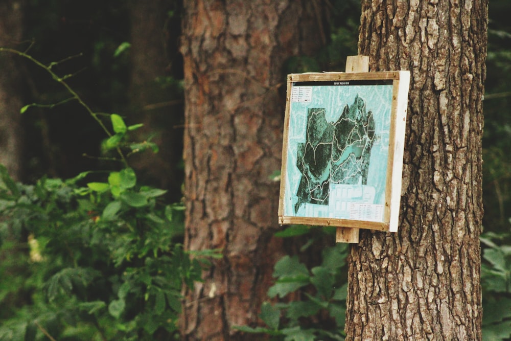 Pintura abstracta verde y negra con marco de madera marrón en árbol