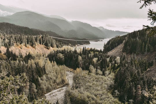 road surrounded by pine trees near lake during daytime in Squamish Canada