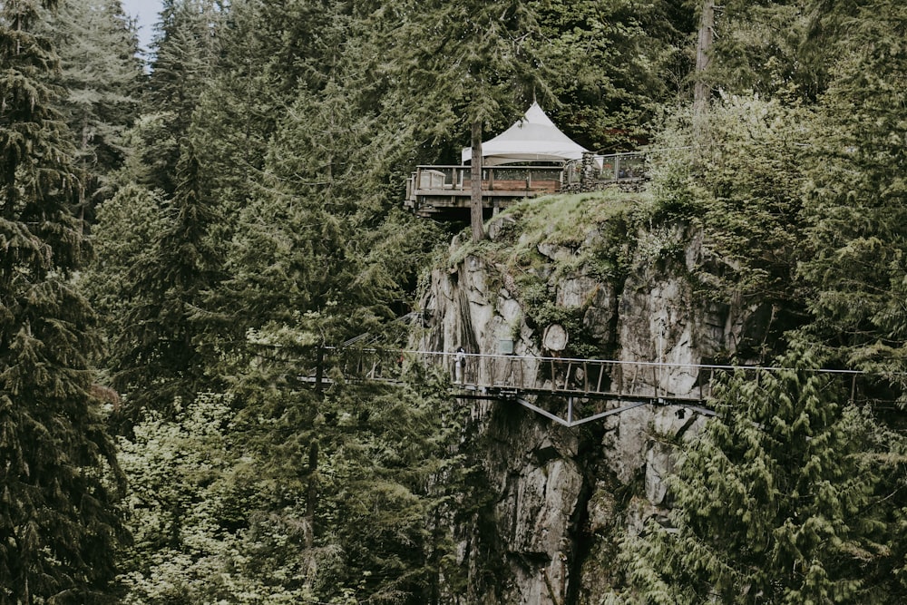 white canopy tent surrounded by green trees