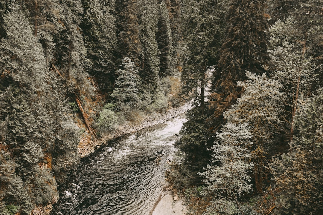 Cliff photo spot Englishman River Falls Provincial Park Canada