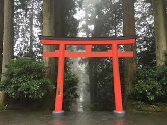 A vibrant red torii gate standing at the entrance of a serene Japanese shrine during autumn.