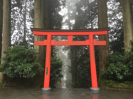 A vibrant red torii gate standing at the entrance of a serene Japanese shrine during autumn.