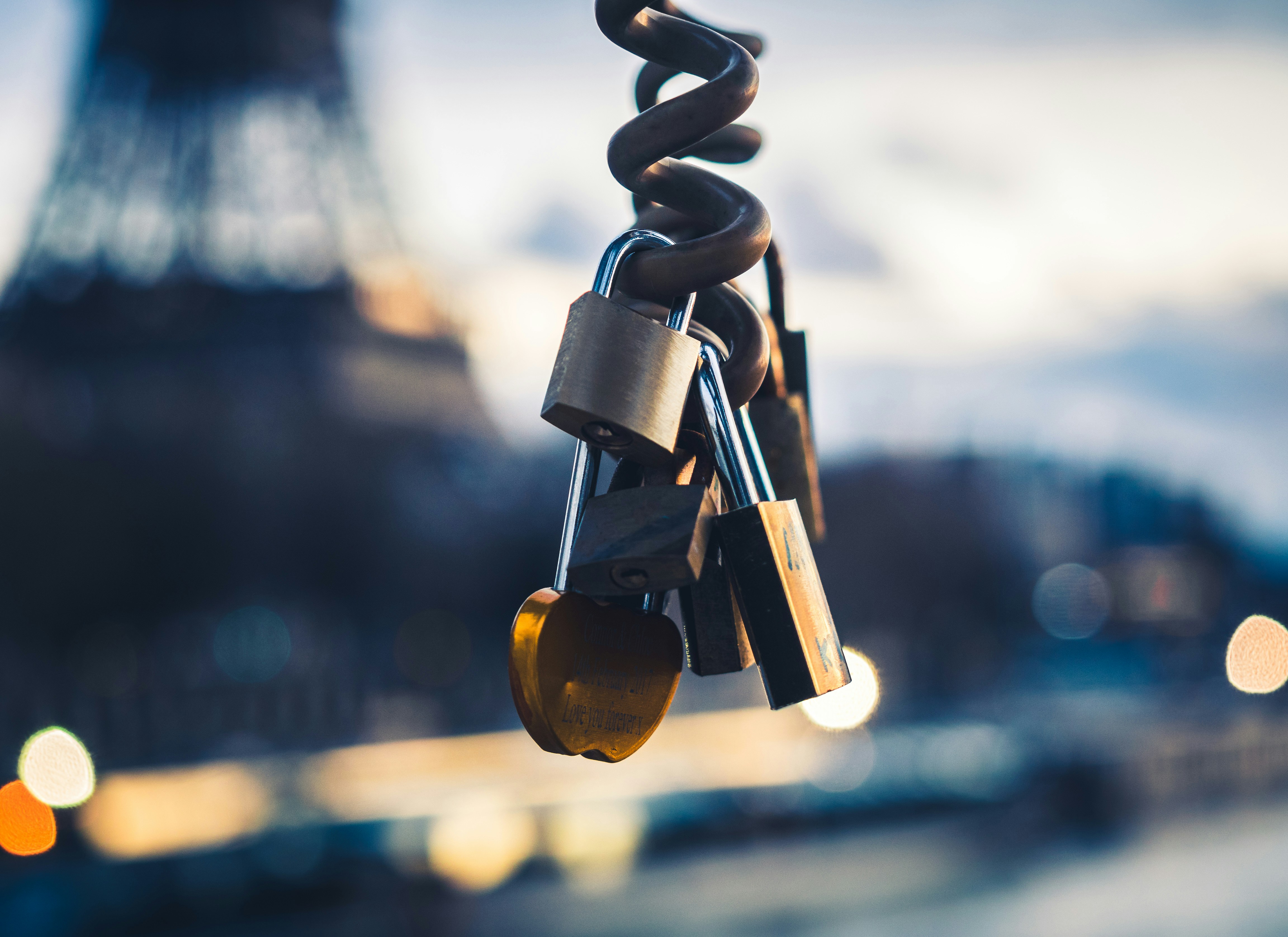 Premium Security Locks Collection