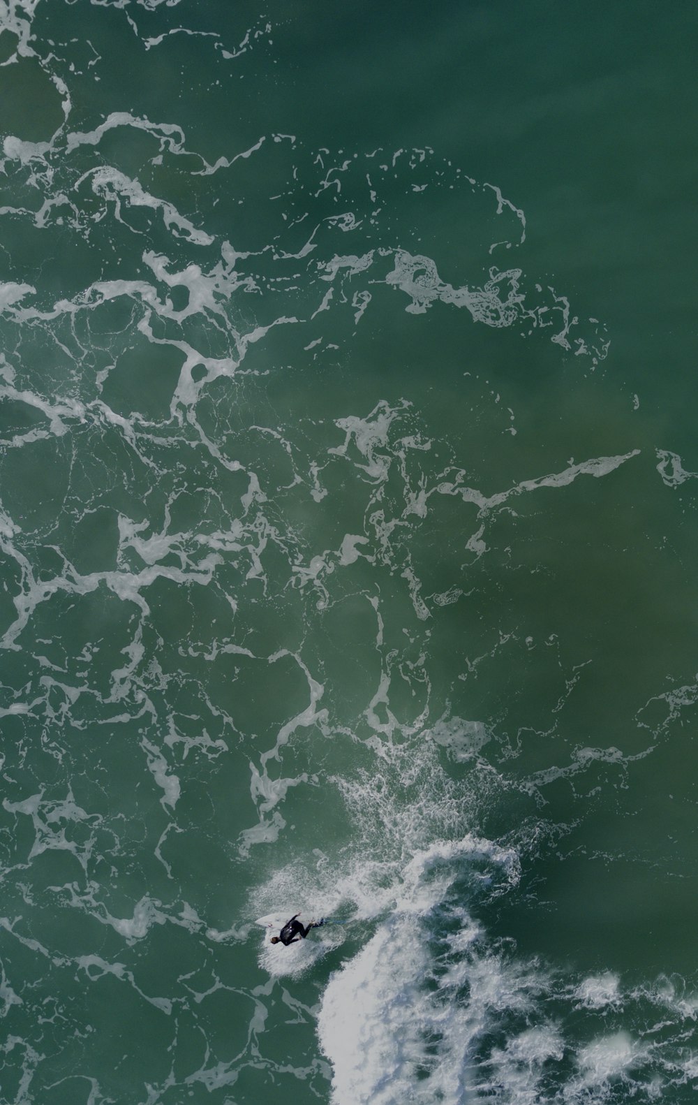 person swimming in body of water