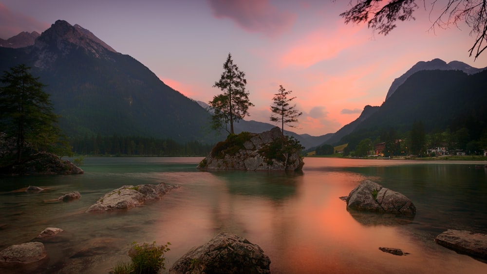 landscape photography of tree on rock formation surrounded by body of water near mountain during sunset