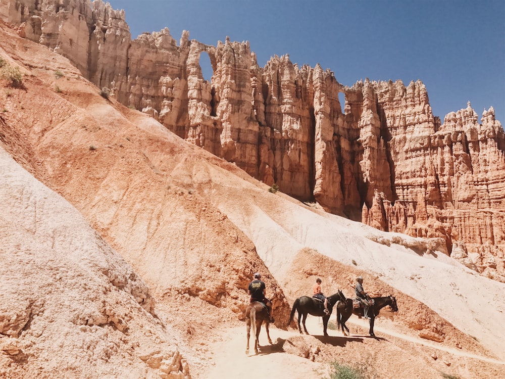 people riding on black and brown donkeys