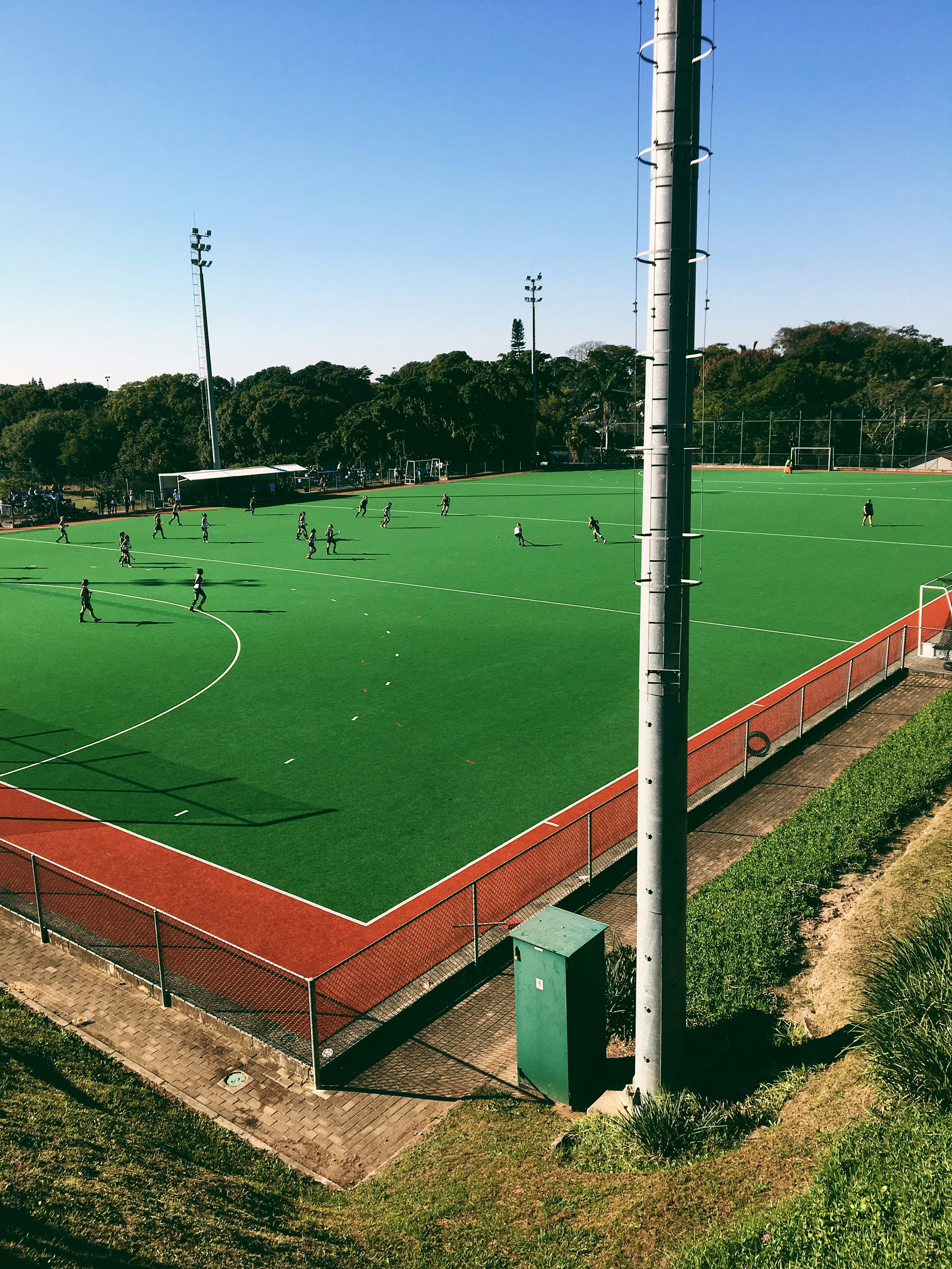 Pasto Premium Tiger para Todos