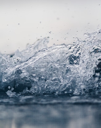 shallow focus photography of water