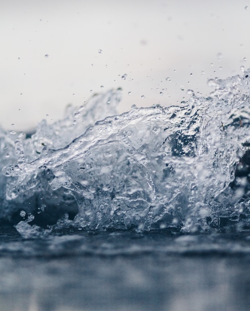 shallow focus photography of water