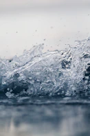 shallow focus photography of water