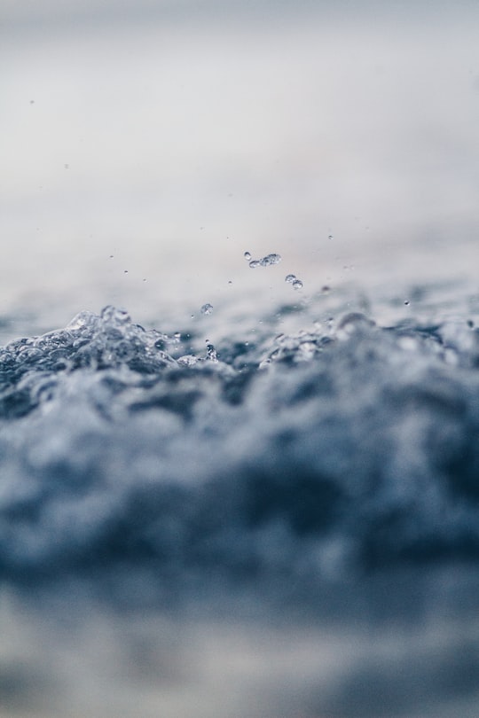 closeup photo of water in Kohimarama New Zealand