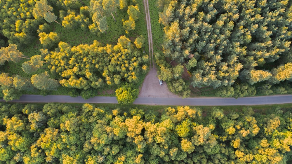 aerial view of asphalt road surrounded by trees