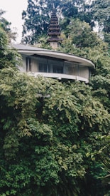 A lush, verdant forest setting with dense greenery surrounds a modern, minimalist building featuring large glass windows. Above the building, a traditional Asian-style pagoda structure emerges from the dense foliage. The combination of modern architecture and classical design elements creates a unique blend of nature and human-made structures.