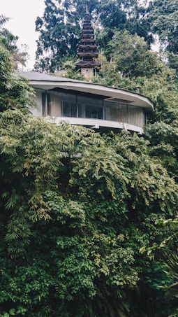A lush, verdant forest setting with dense greenery surrounds a modern, minimalist building featuring large glass windows. Above the building, a traditional Asian-style pagoda structure emerges from the dense foliage. The combination of modern architecture and classical design elements creates a unique blend of nature and human-made structures.
