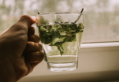 A glass of fresh mint tea, typical of a contemporary Moroccan café