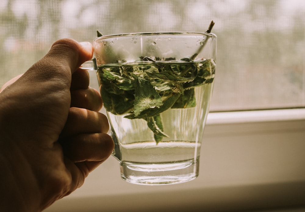 persona sosteniendo un vaso transparente con hojas verdes