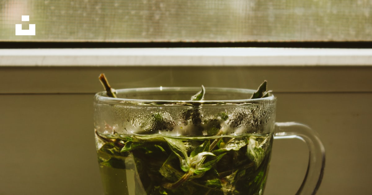 Scientifically Proven Ingredients for When You're Sick 9 Photo by Anton Darius on Unsplash