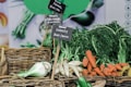 A display of organic vegetables including carrots, white radishes, and fennel, arranged in woven baskets with small chalkboard signs indicating the type and price of each vegetable. Fresh produce with leafy greens adds to the vibrant and earthy appeal.